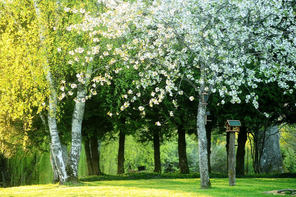 Kimaro Farmhouse Colméry Екстериор снимка